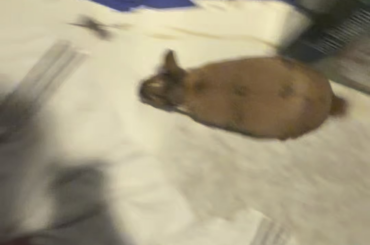 Mom is finally home!!!