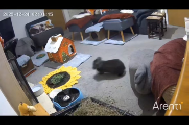 Eisa is starting to feel at home 💚