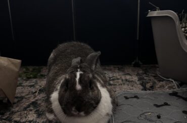 He demands a pedicure