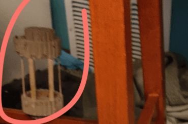 My bunny just.. balanced his feeder on the stool 🥲