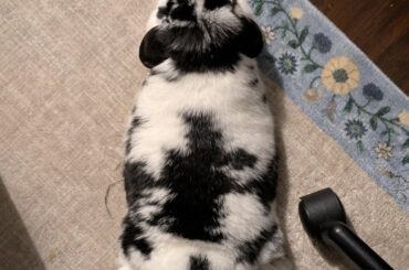 I love my little frog baby so much ❤️