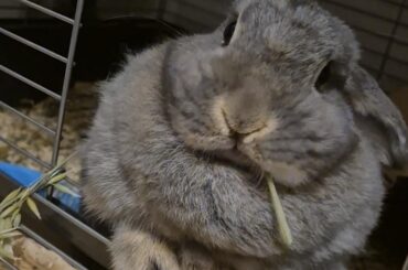 Poopy butt on 2 year old bun