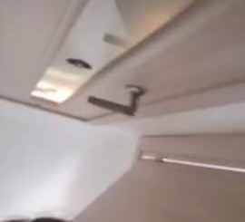 Waking up to these two is the best part of my day. ☀️✨