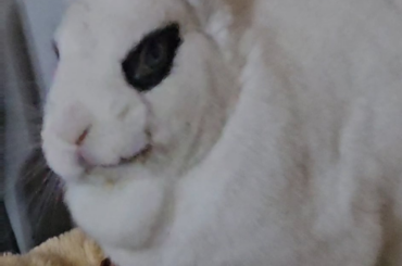 After calling her name: