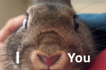 Vito had a message he wanted to share!