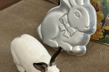 Flops noticed some self-resemblance in some of my thrift finds..