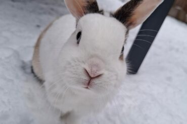 She love's the white snow!