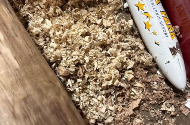 Can I use walnut shavings for bedding?