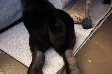 I think she’s feeling comfortable in her new home 🥰