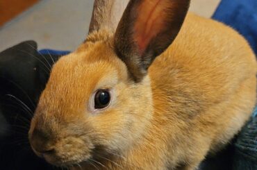 This little monster needs treats