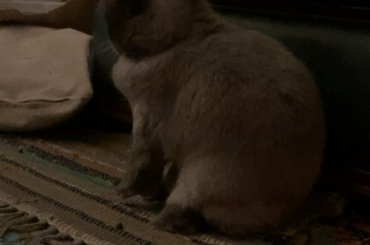 What's she doing? :')