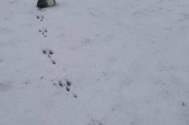 Her first snow ❄️