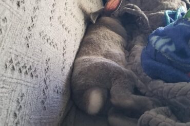 Lazy Sunday on the couch with mom😂