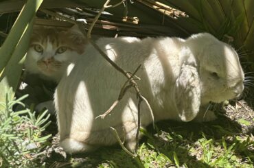 I have no idea what to feel or what to do