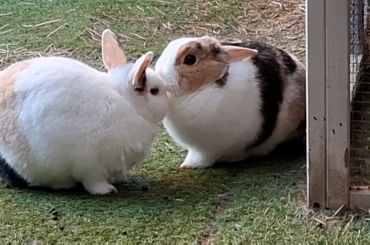 beloving sisters🫶🏼