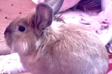 New family member!<3