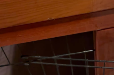 I don’t think it’s his turn with the brain cell…