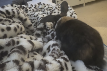 I figured out why she attacked me.