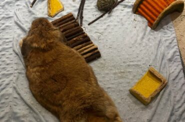 Curves In All The Right Places