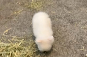 I miss my sweet girl