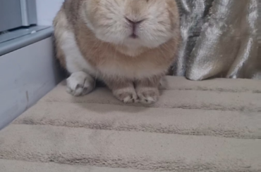 the way my face fell when I realised what he was happily chewing on