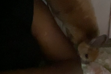 Such a blessing to be loved by a prey animal 🥺