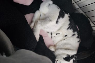 I had to say goodbye