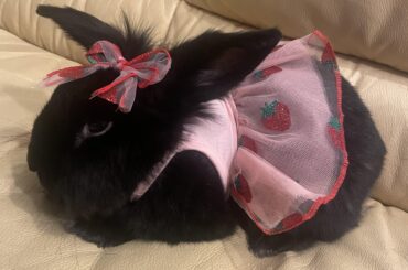 I’m obsessed with her cuteness