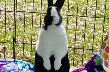 Just wanted to share my girly