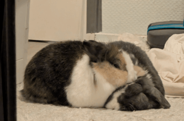 All I want in life is a partner like this