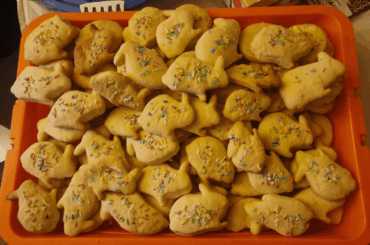 Small update on my bunny-biscuit army