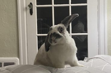 How to help with a wet face?