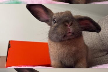 Our beautiful little helicopter, Matilda!