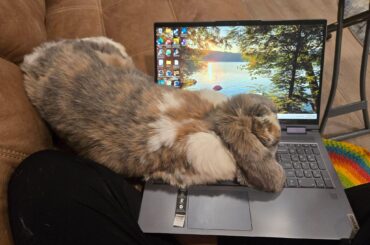 She says stop working and pet me