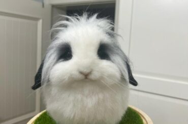 In my memory, you’ll always be this playful and sweet