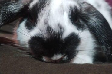 Forgot to say, his name Is Robin