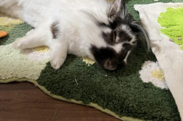 How is it possible for such a tiny being to be so perfect?