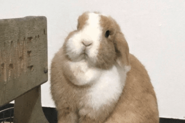 I think she's been offended