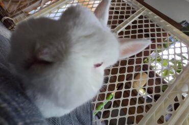 Im back, we're getting the second bun