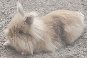 What do you think of my loaf?