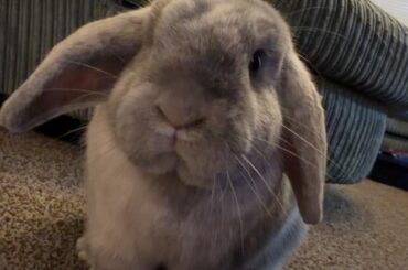 U got games on your phone?!