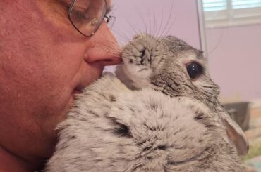 Happy New Year from all of us and Miss Maggie 🥰 rabbit kisses are the best 🤣