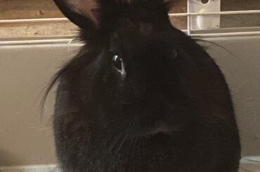 Would you also say no to her face