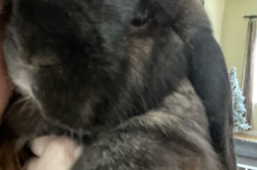 this is my plump little baby boy