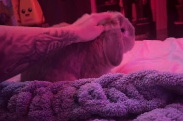 This little guy can’t sleep P.S. i love forknite