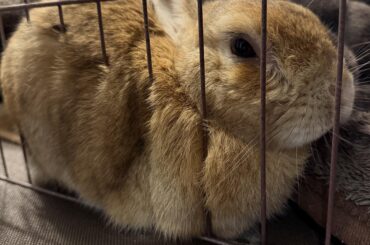 Senta is in jail 😂