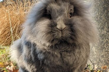 He should be on the cover of Bunity Fair