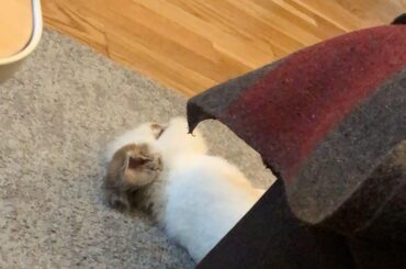 One fella that loves to ragescare me