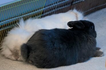 Love seeing them both relaxed again