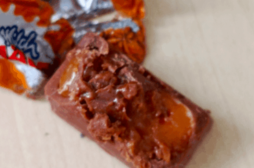 I'm afraid my bunny may have ate chocolate, it's weekend and no vets are available near. What do I do?